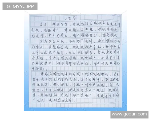 对话赵伟：回顾篮球生涯中的挑战与成长之路