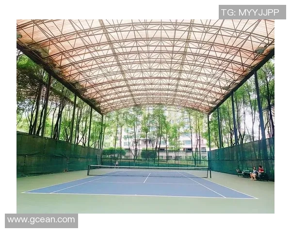 重庆网球队边路渗透战术分析与成效评估探讨