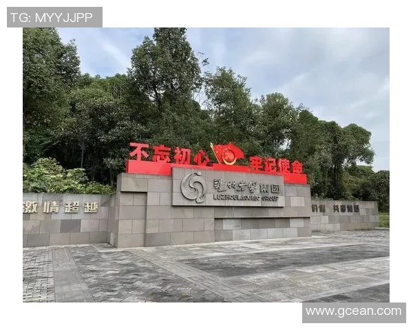 重庆排球队转型之路揭秘：从传统强队到现代化竞技新标杆