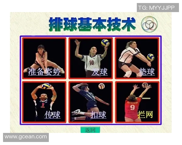 南京排球队战术解析与实战应用探讨提升竞技水平的关键因素