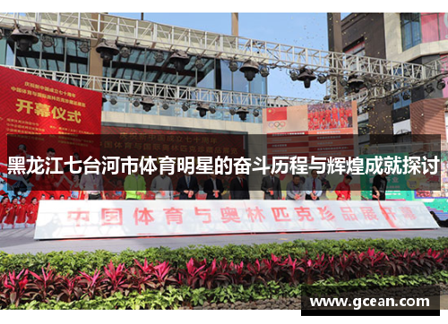 黑龙江七台河市体育明星的奋斗历程与辉煌成就探讨